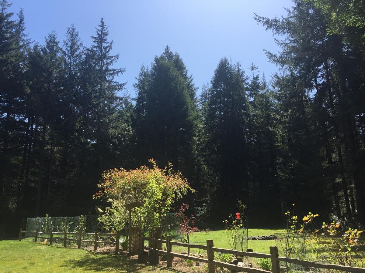 Redwood Forest Кресент-Сіті Екстер'єр фото